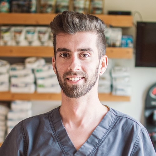 Andre Gomes Veterinario Vila Real de Santo Antonio Andre Gomes Veterinario Vila Real de Santo Antonio