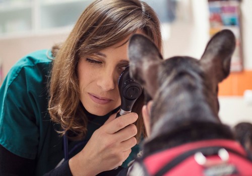 Medicina preventiva Veterinaria Medicina preventiva Veterinaria