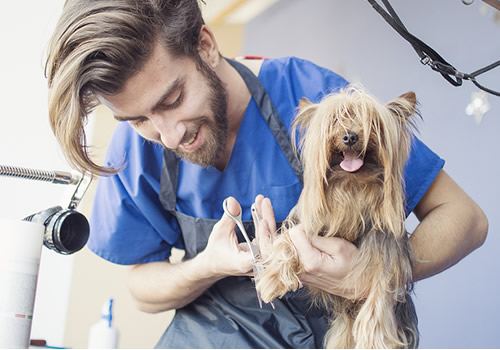 Grooming Grooming