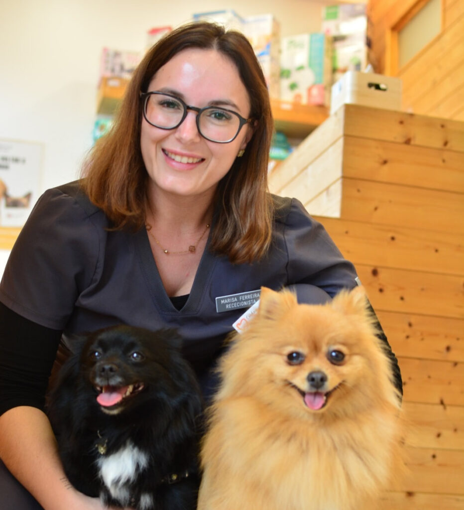 Equipa Veterinario Vilavet Equipa Veterinario Vilavet